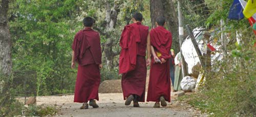 budhist monks of McLeod Ganj 