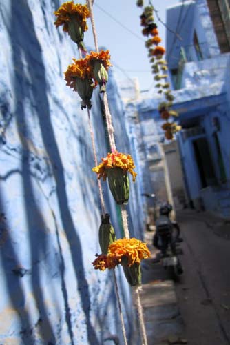  The Blue City of Jodhpur