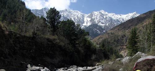 mountains  McLeod Ganj 