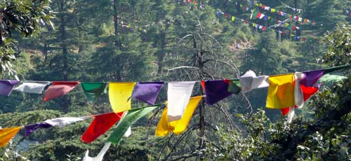 pray flags in McLeod Ganj 